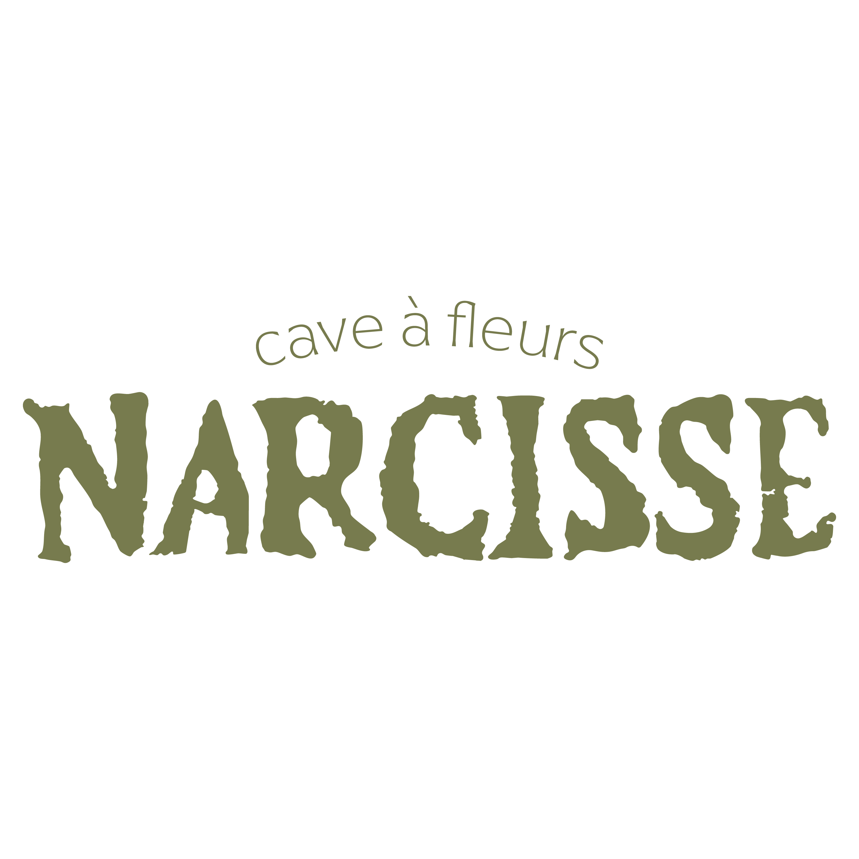 Narcisse Cave à fleurs